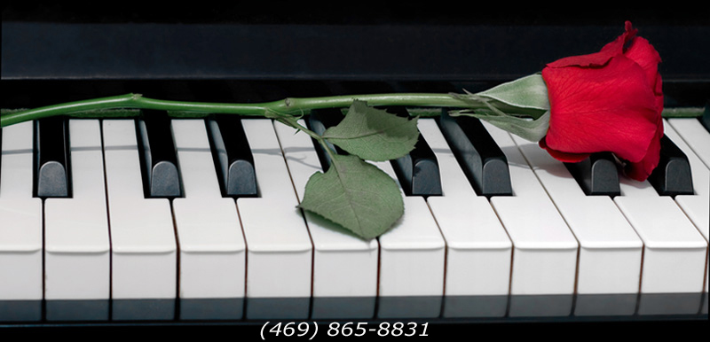 Rose on the Keyboard